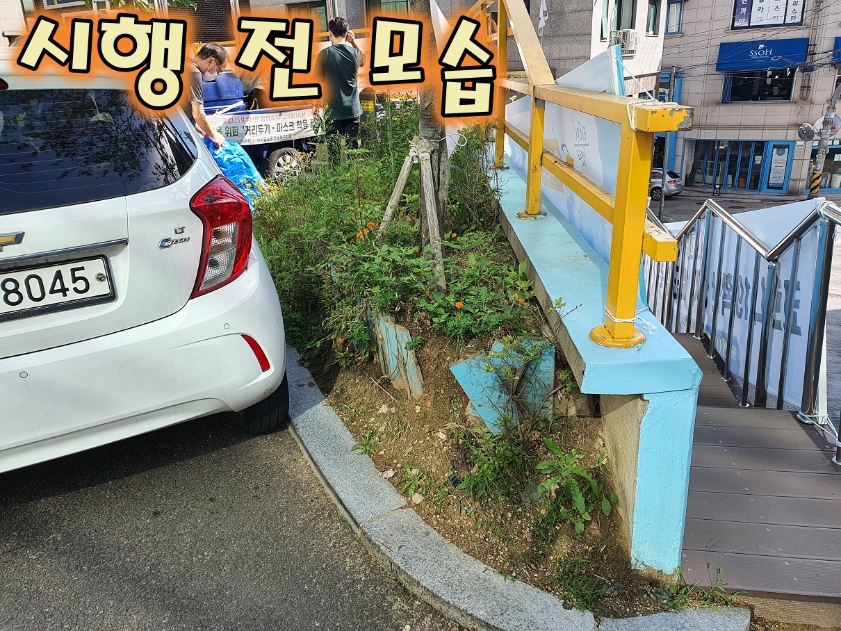 "꽃으로 탁트인 골목 만들기" 사업으로 달라진 우리 동네 3번째 파일