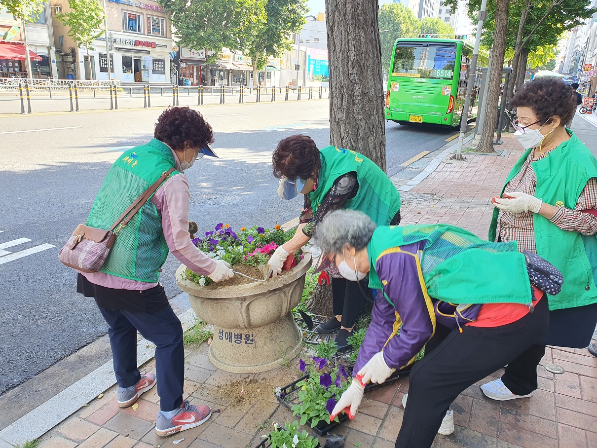 신길제1동 가을철 거리화단 꽃심기 행사 실시 의 이미지