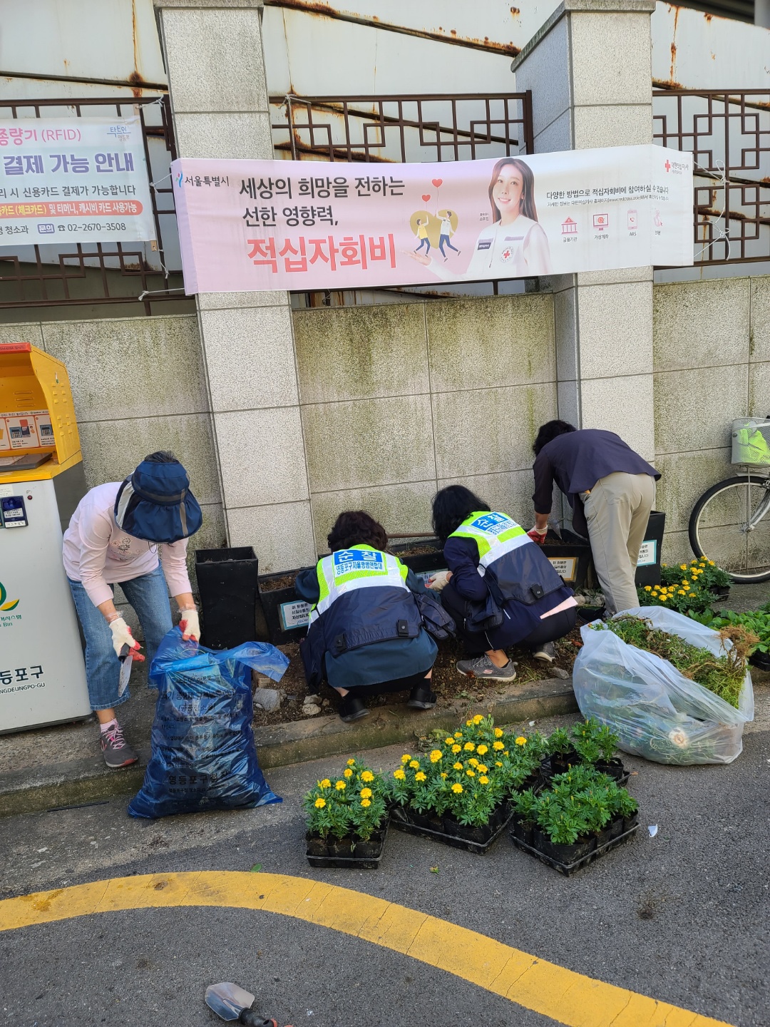 가을 꽃묘식재(0927) 의 이미지