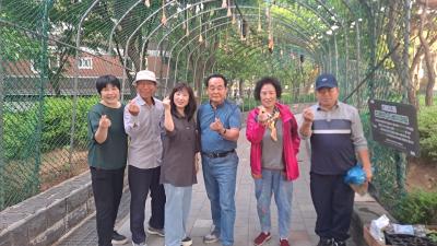 조롱박 수세미 숲길 가꾸기 의 이미지