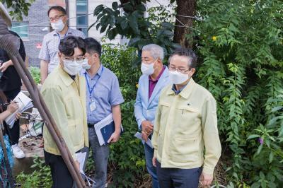 풍수해 관련 현장점검(축대붕괴현장) 의 이미지