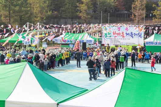 동민 한마음 체육대회 (양평1동) 의 이미지