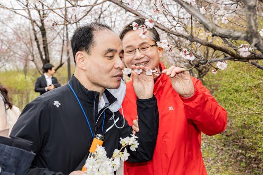 봄꽃축제 동행 무장애해설 프로그램 의 이미지