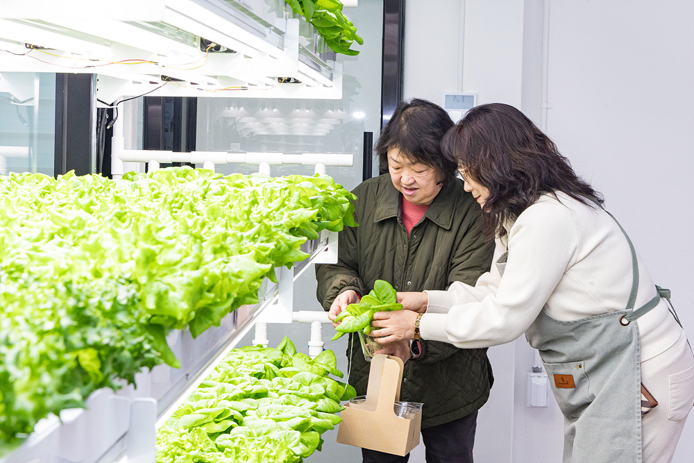 (스마트팜×미래농업) 체험프로그램 11번째 파일