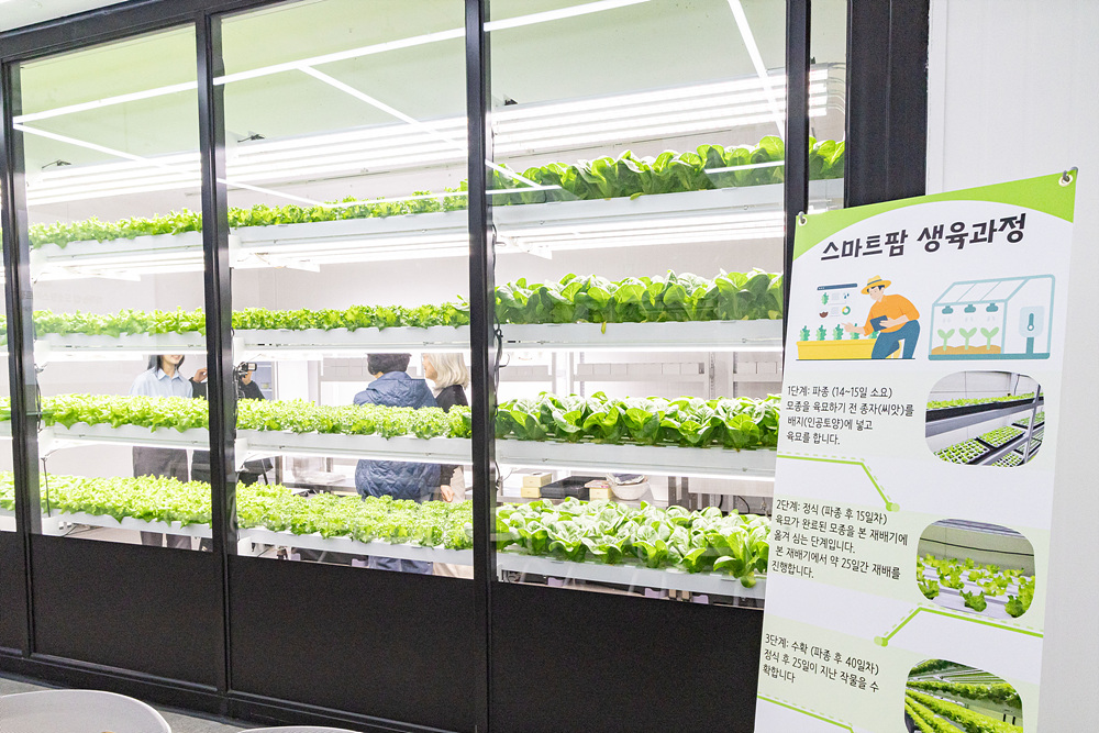 (스마트팜×미래농업) 체험프로그램 21번째 파일