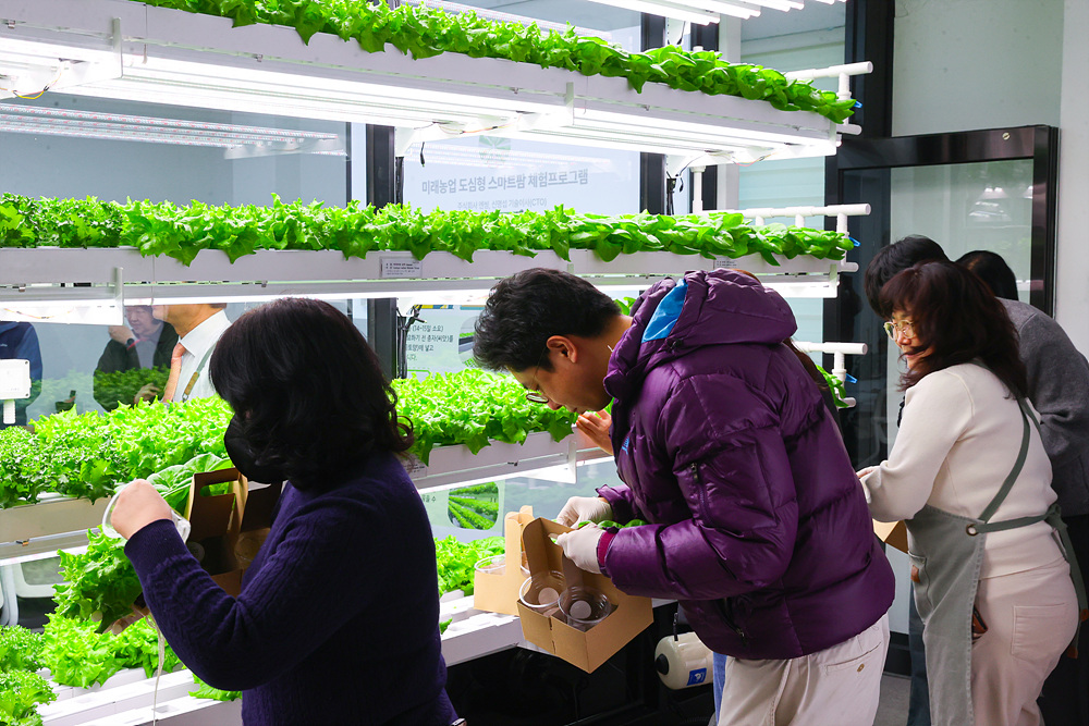 (스마트팜×미래농업) 체험프로그램 16번째 파일