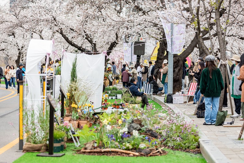 [2026 영등포 여의도 봄꽃축제] 협찬사 모집 공고 1번째 파일