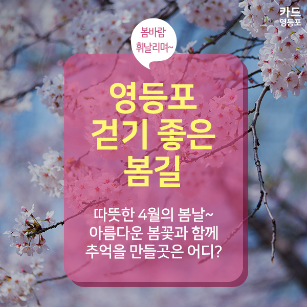 봄바람 휘날리며~ 영등포 걷기 좋은 봄길  따뜻한 4월의 봄날~ 아름다운 봄꽃과 함께 추억을 만들곳은 어디?