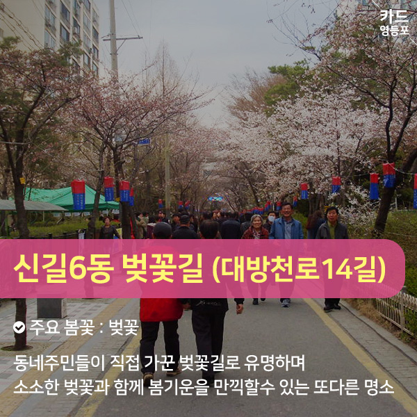  신길6동 벚꽃길 （대방천로14길）  주요 봄꽃: 벚꽃 동네주민들이 직접 가꾼 벚꽃길로 유명하며 소소한 벚꽃과 함께 봄기운을 만끽할수 있는 또다른 명소