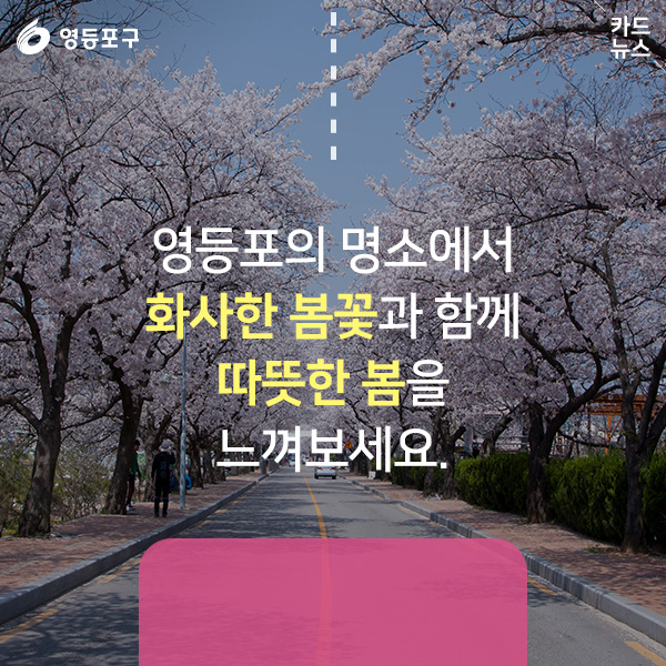 영등포의 명소에서 화사한 봄꽃과 함께 따뜻한 봄을 느껴보세요.