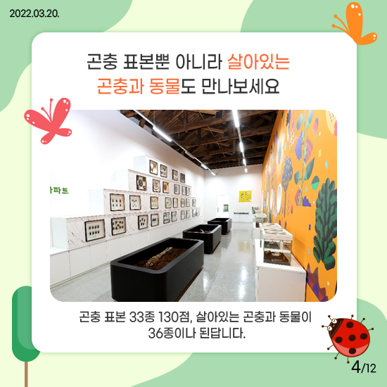 YDP곤충체험학습관 