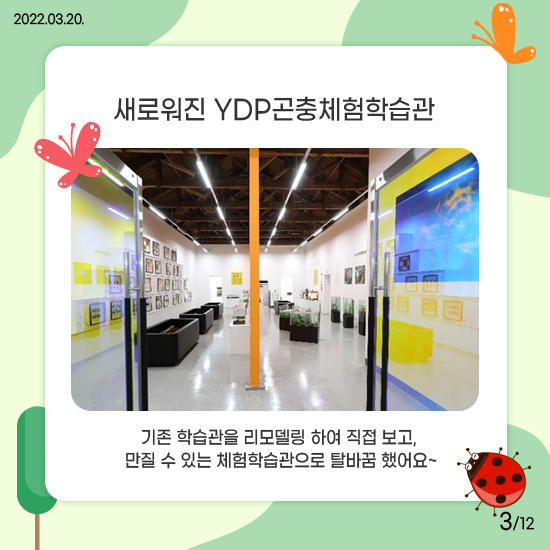 YDP곤충체험학습관 