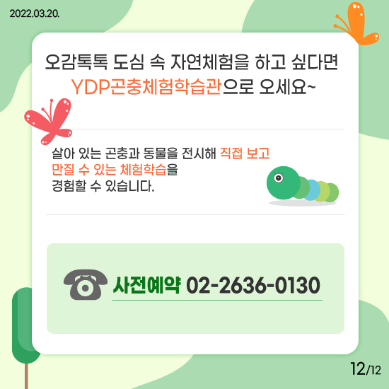 YDP곤충체험학습관 