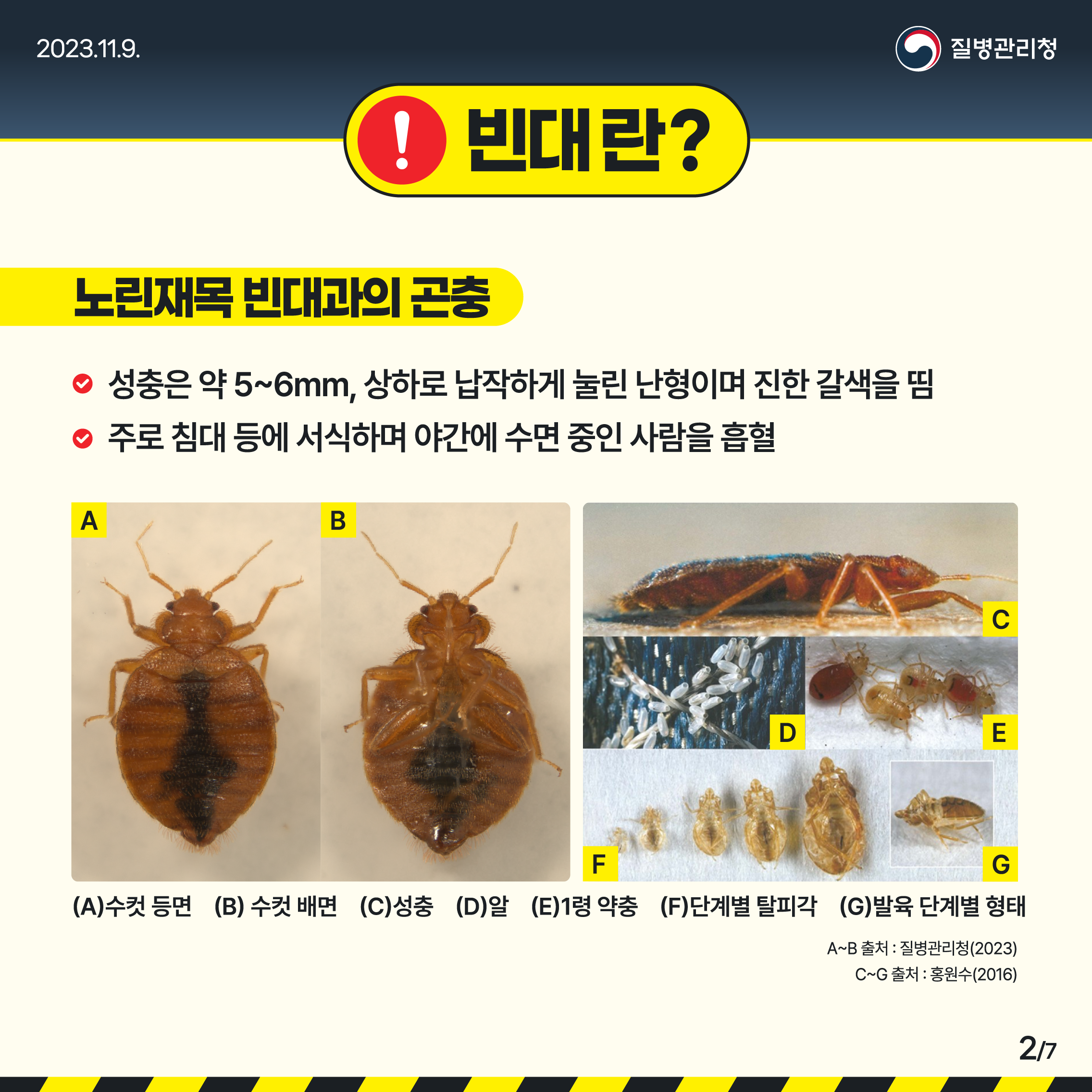 빈대 바로 알고 미리 예방하기 