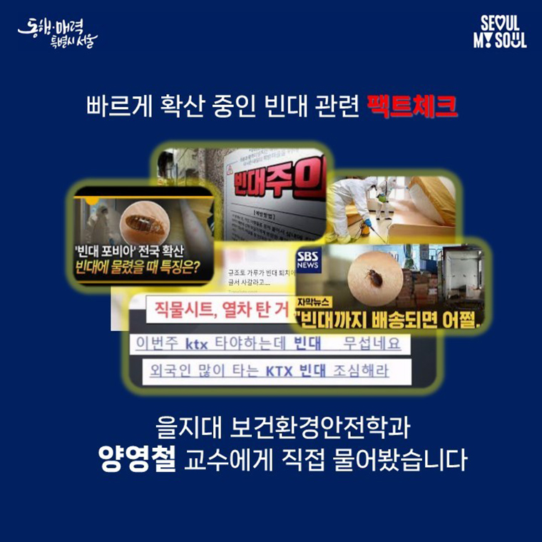 빈대 퇴치 팩트체크 8문 8답 