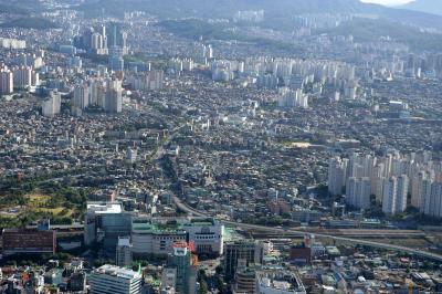 신길동 의 이미지