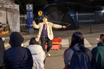 영등포 여의도 봄꽃축제 전시 공연(2024) 의 이미지