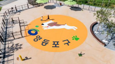 안양천 애견 놀이터 (드론) 의 이미지