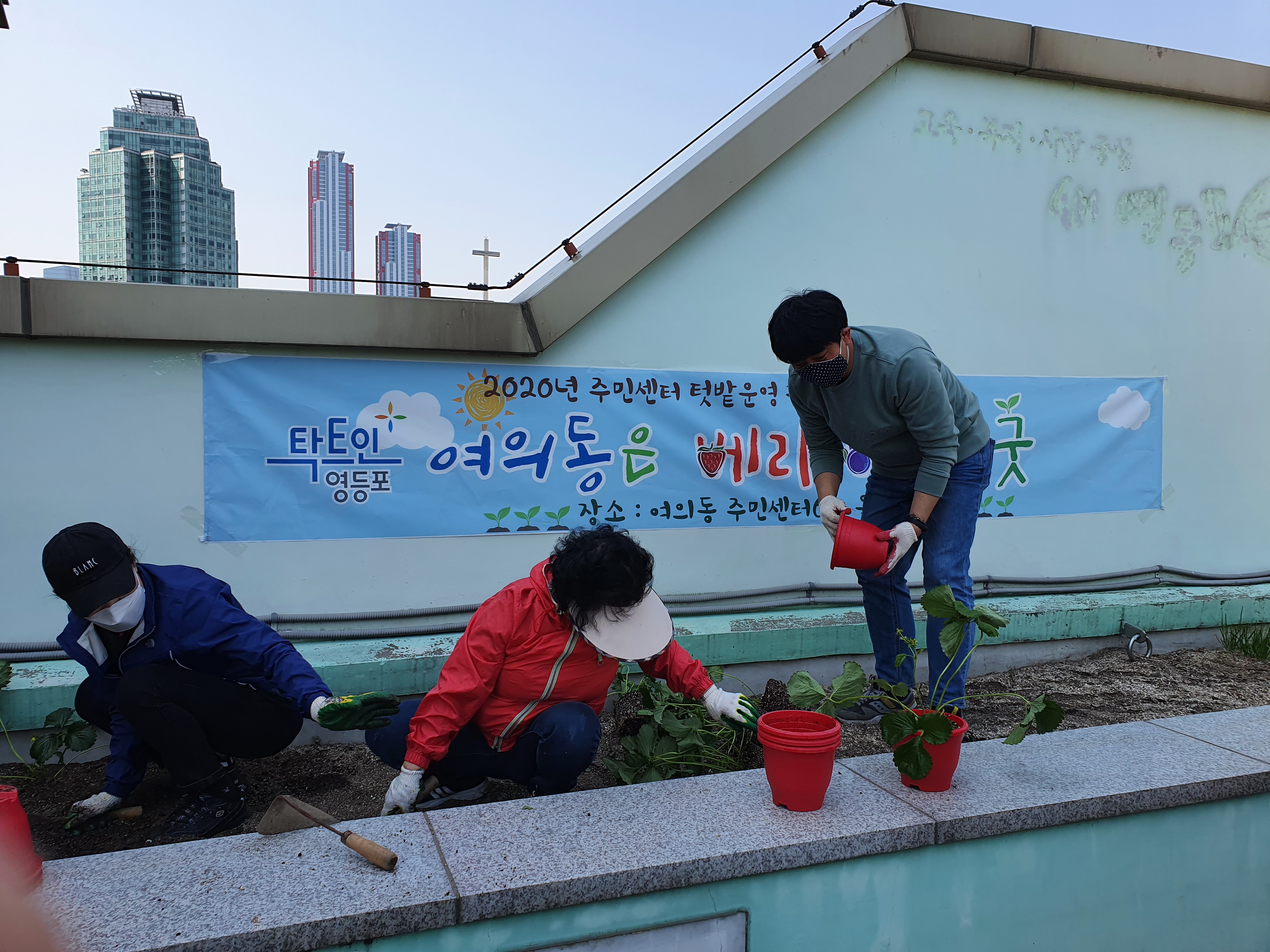 옥상텃밭활성화 ＇여의동은 베리베리 굿＇ 파종활동（2020.05.01.） 의 이미지