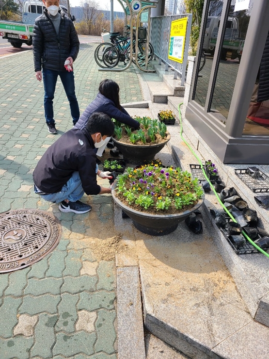 봄맞이 꽃모 심기 의 이미지