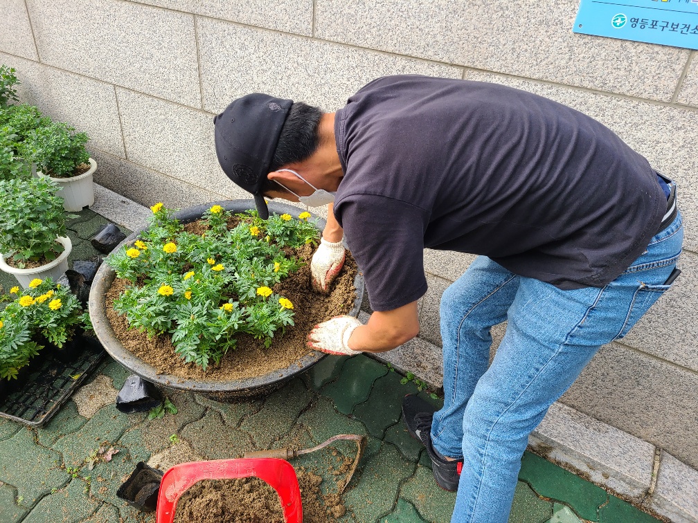 가을맞이 청사 환경정비 (꽃모 식재) 의 이미지