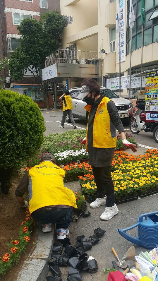 여름 꽃모 심기 의 이미지