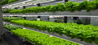 영등포구 스마트팜[정원문화센터 양평점] 개소식 의 이미지