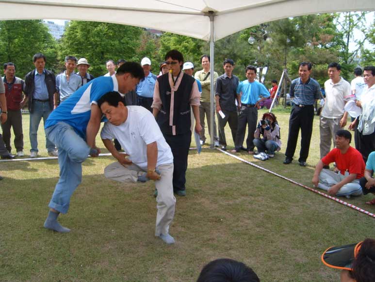 닭싸움 의 이미지