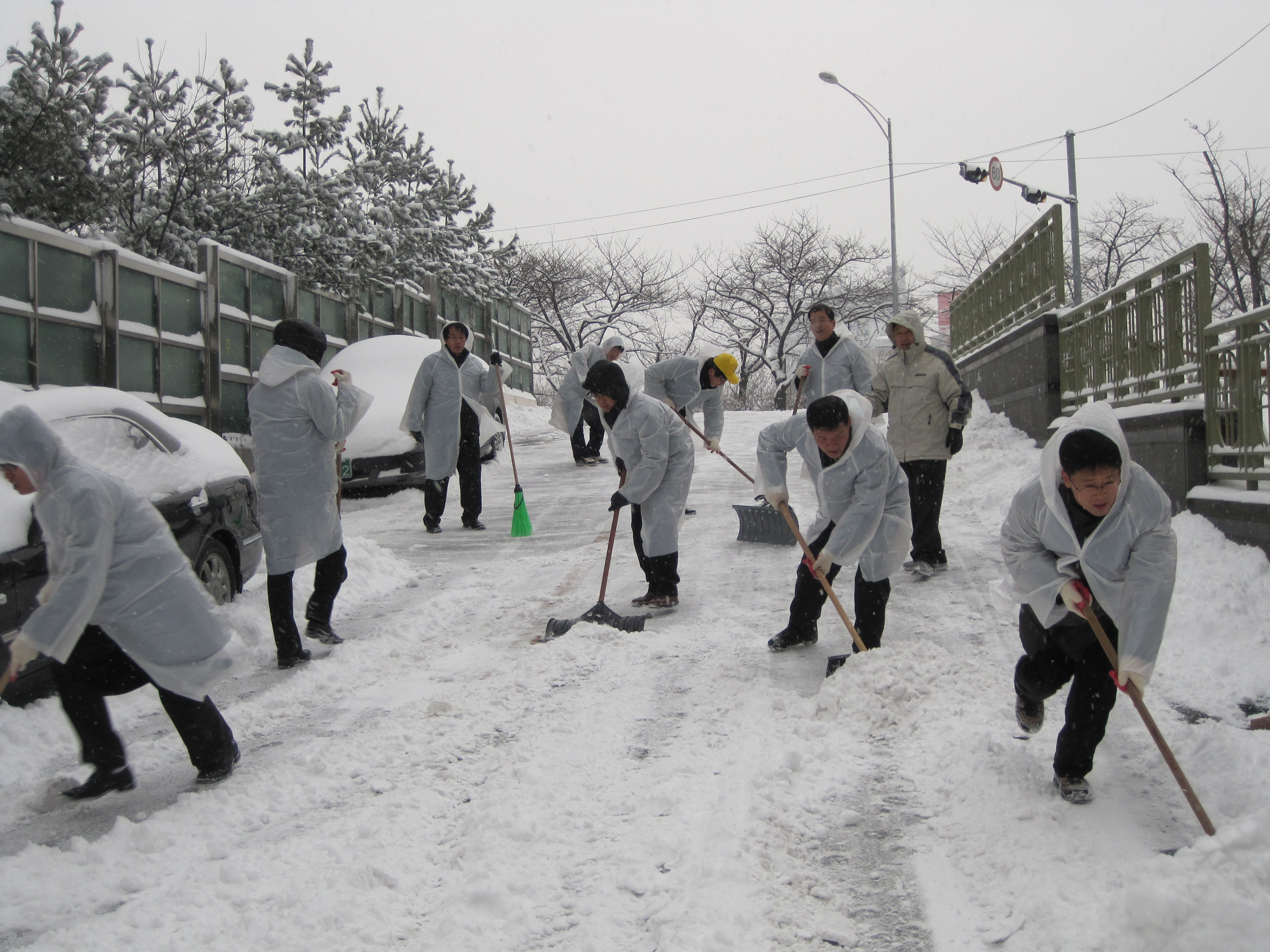 2010월 1월 4일 제설작업 의 이미지