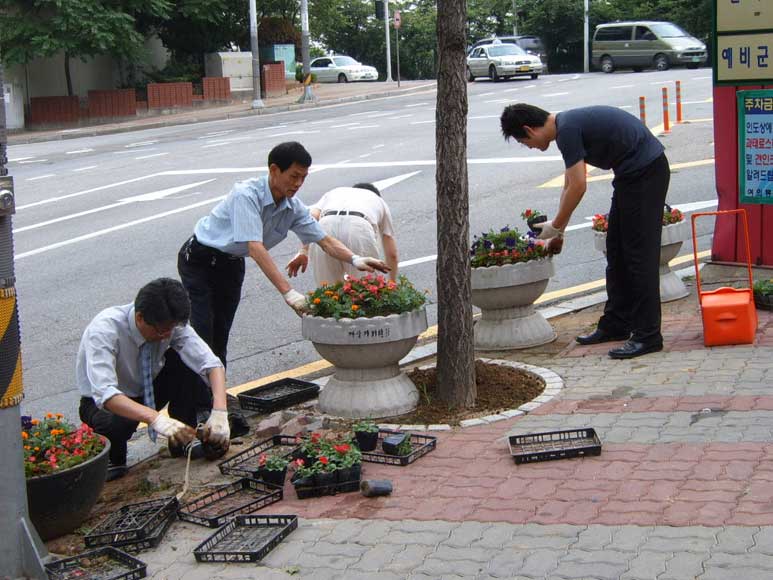 동청사주변 꽃심기4 의 이미지