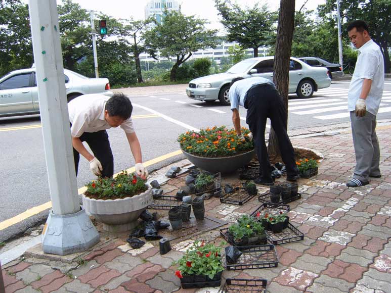 동청사주변 꽃심기5 의 이미지