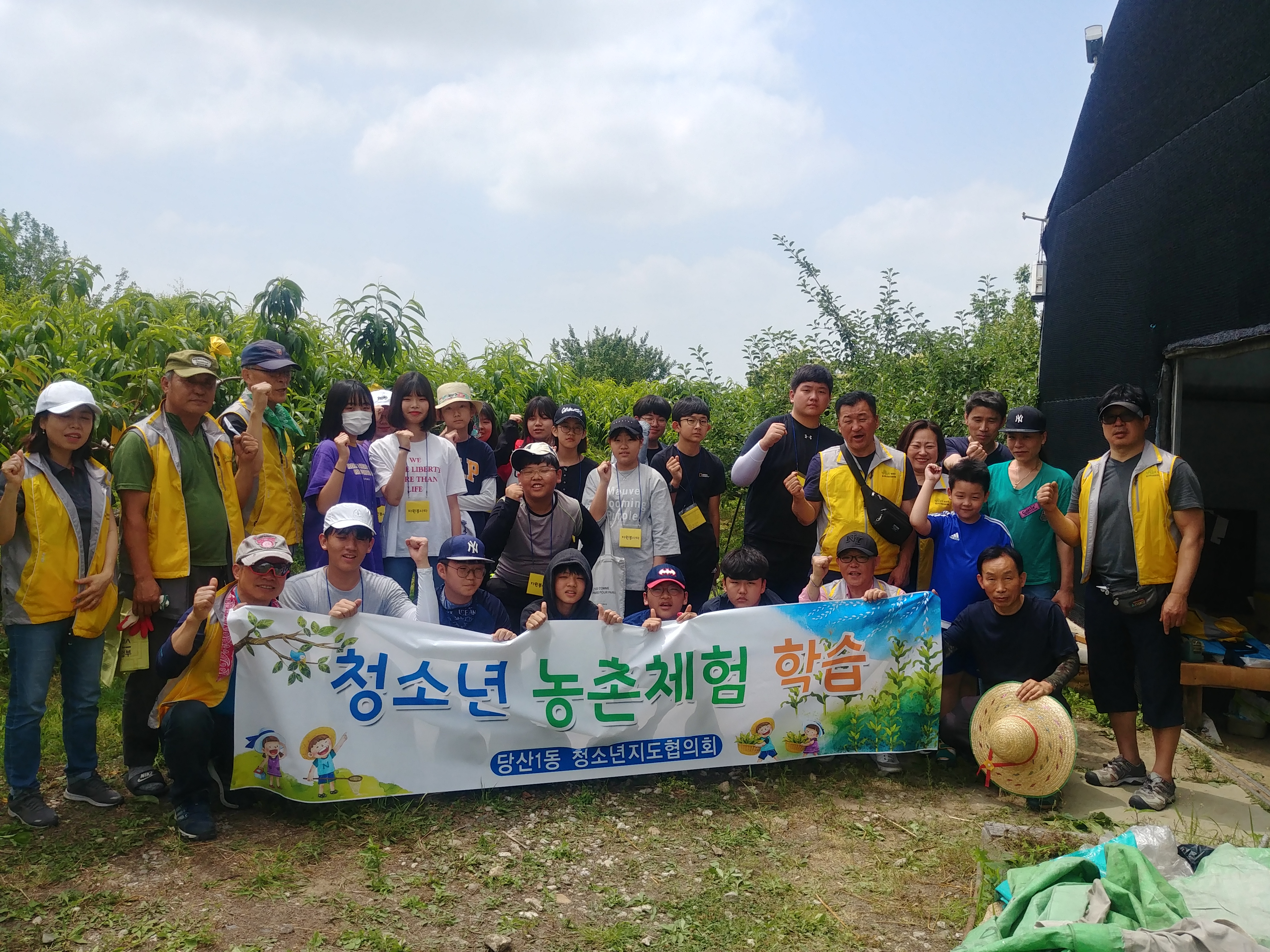 당산1동 청소년지도협의회 과수원 일손돕기 의 이미지