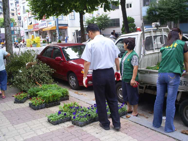 가로화분 꽃묘식재 의 이미지