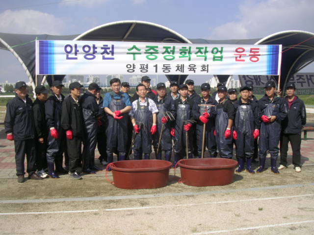 안양천 수중정화2 의 이미지