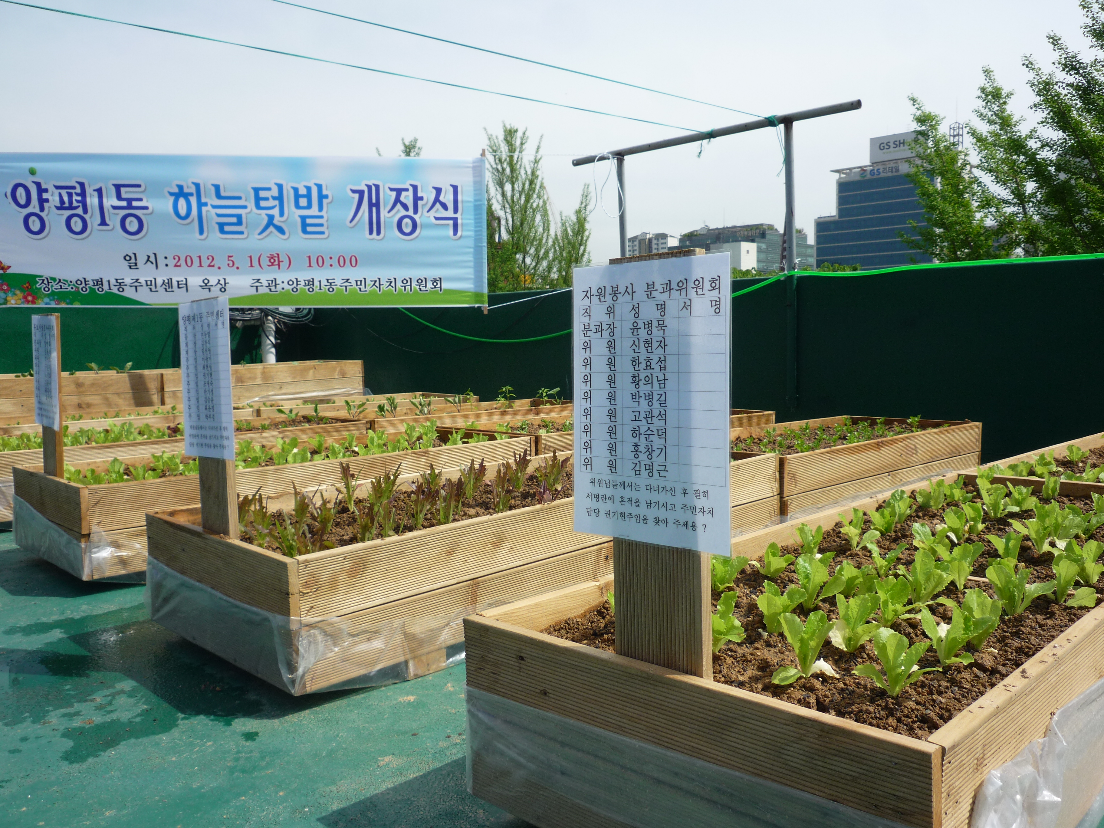 양평1동 "하늘텃밭" 개장 의 이미지