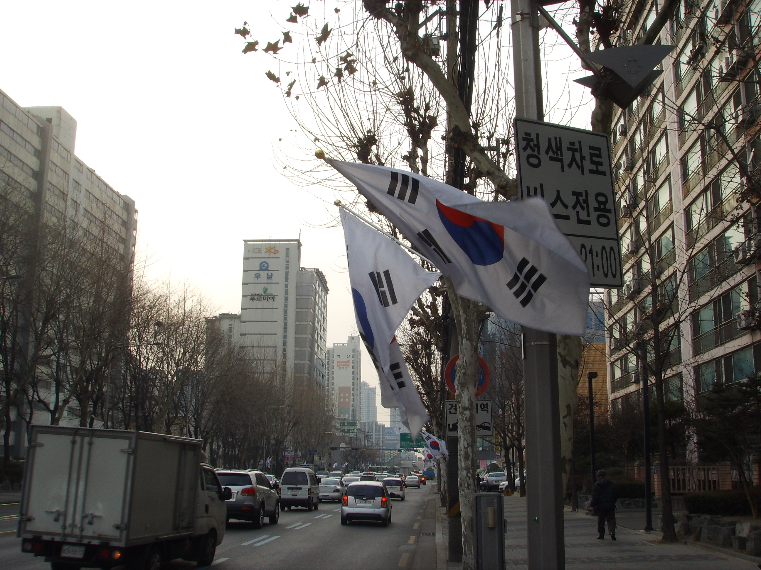 3.1절 국기를 게양합시다 의 이미지