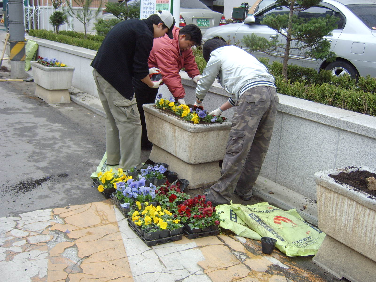 동청사 주변 환경정비 의 이미지