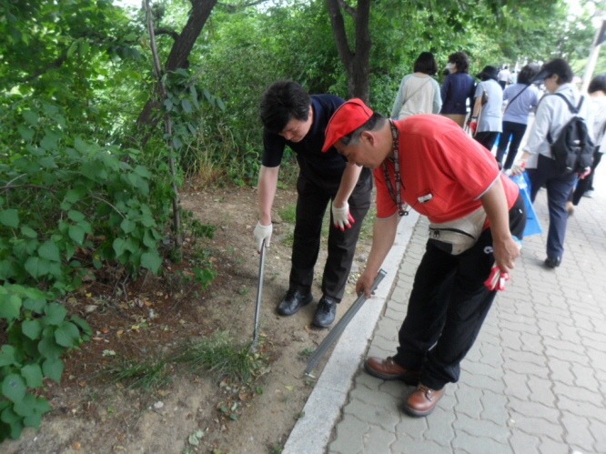 샛강 생태공원 자연정화 캠페인 6번째 파일