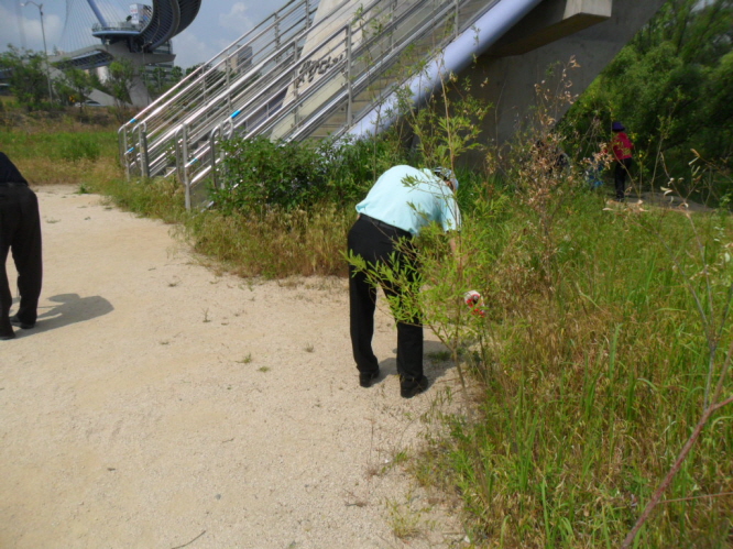 샛강 생태공원 자연정화 캠페인 8번째 파일