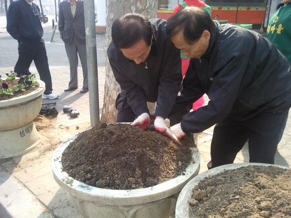 새봄맞이 신길1동 관내 꽃묘식재 2번째 파일