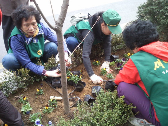 새봄맞이 신길1동 관내 꽃묘식재 6번째 파일