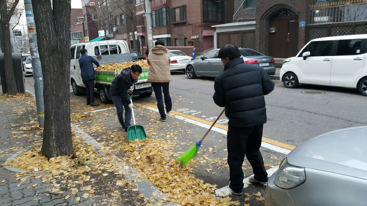 겨울철 낙옆제거  의 이미지