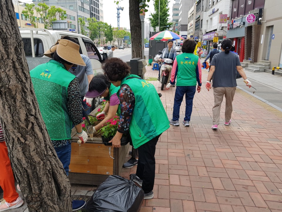 신길1동 관내 여름꽃 식재 완료 의 이미지