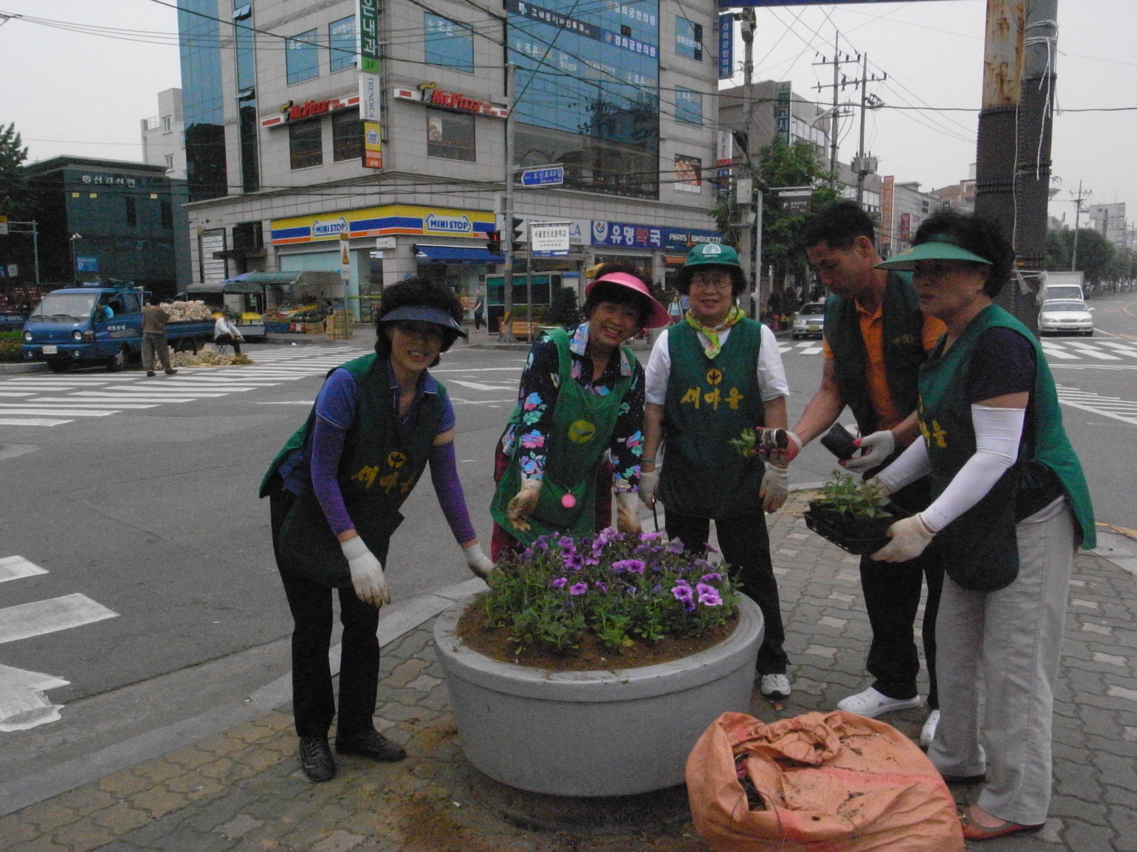 신길1동 관내 여름꽃 식재 의 이미지