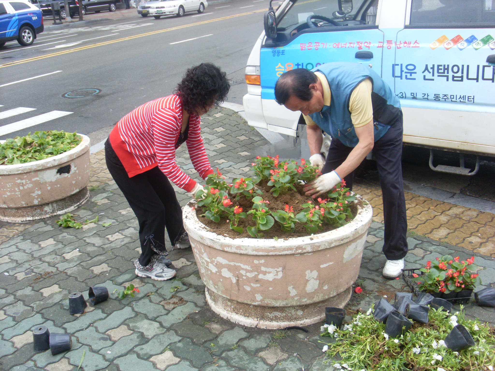 신길1동 관내 꽃묘식재 의 이미지