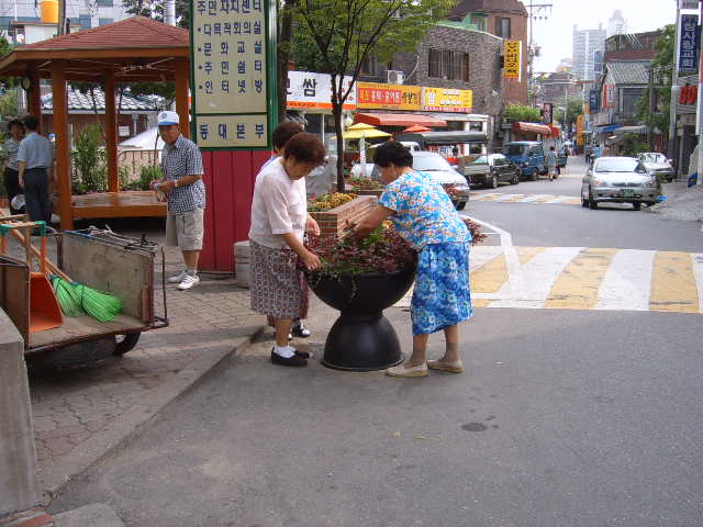 골목길청소 및 화단조성 의 이미지