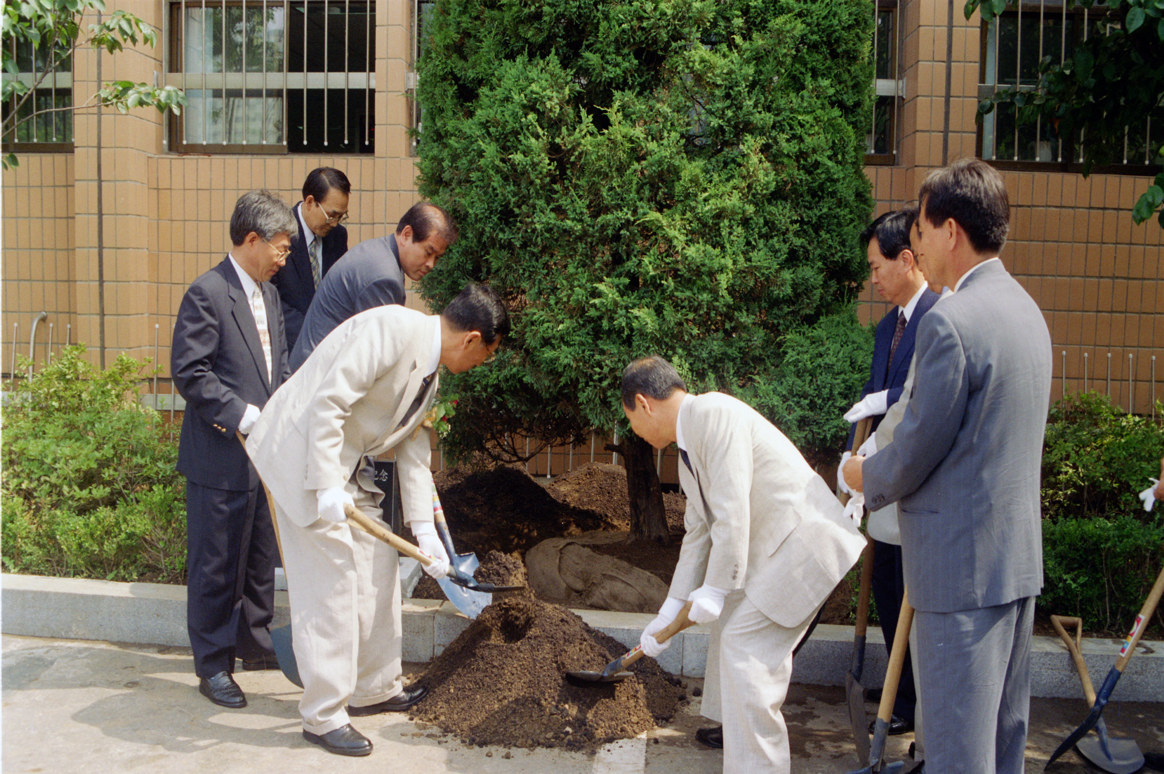 초대민선구청장 취임1주년 기념식수(현관) 의 이미지