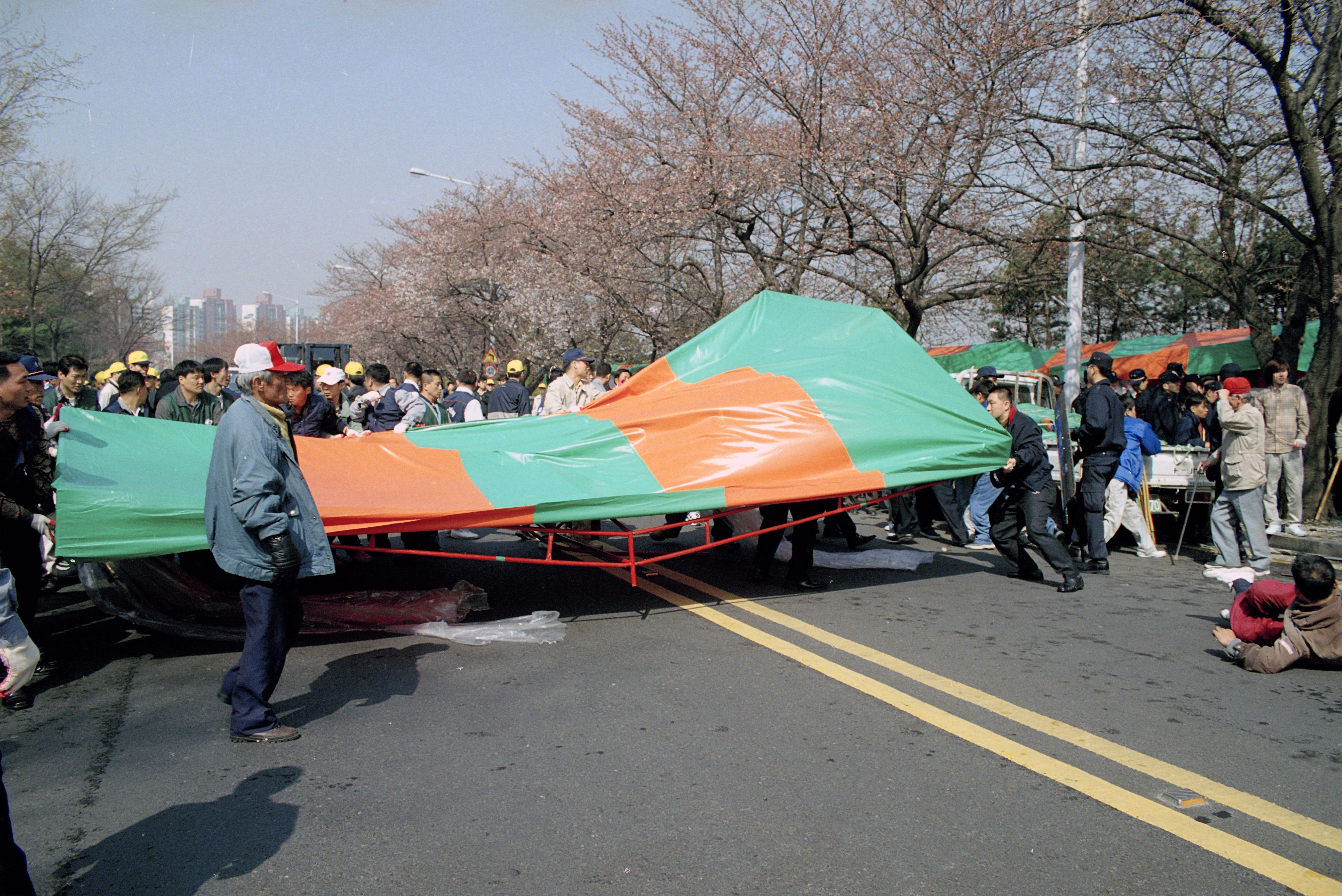 붐꽃축제 가로정비 의 이미지