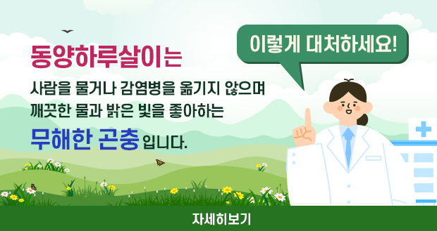 동양하루살이는 사람을 물거나 감염병을 옮기지 않으며 깨끗한 물과 밝은 빛을 좋아하는 무해한 곤충입니다.
이렇게 대처하세요!
자세히보기
