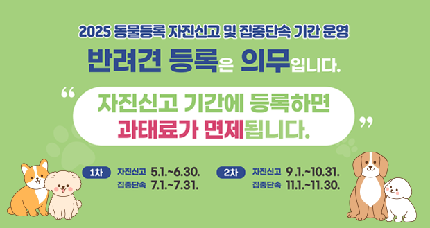 2025년 동물등록 자진신고 및 집중단속 기간 운영
반려견 등록은 의무입니다.
자진신고 기간에 등록하면 과태료가 면제됩니다.
1차
자진신고 5.1. ~ 6.30.
집중단속 7.1. ~ 7.31.
2차
자진신고 9.1. ~ 10.31.
집중단속 11.1. ~ 11.30.